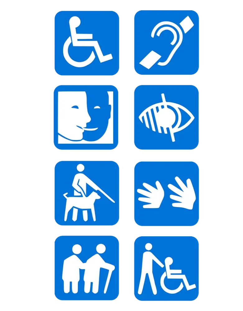 cerfex-accessibilite-reunion